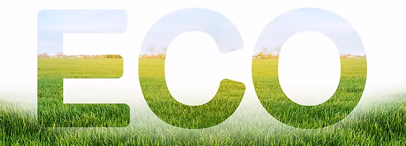 Company Swag Vendors– Social Imprints